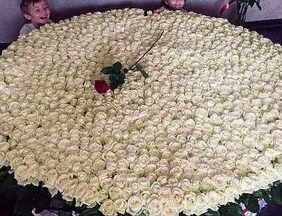101 Роза Букеты Цветы Доставка Розы