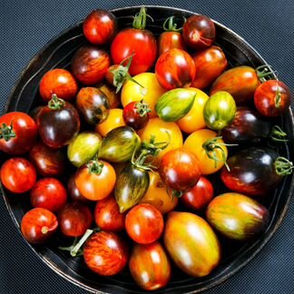 Коллекционные сорта томатов