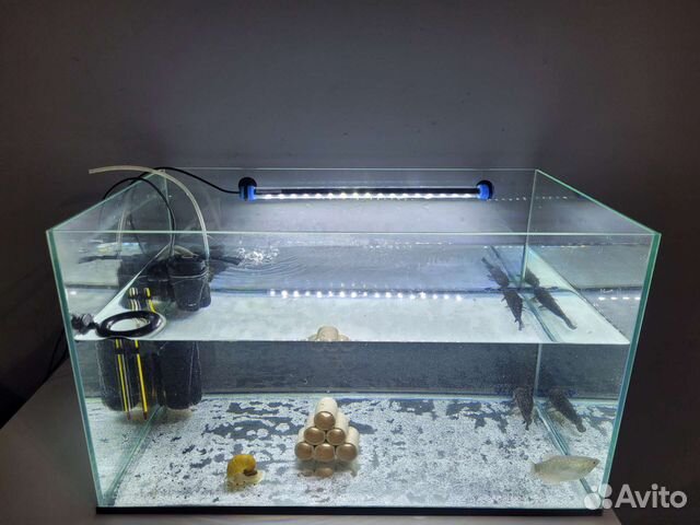 Аквариум