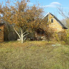 Курск снт камыши. Снт камыши. Снт камыши. Снт камыши. О.