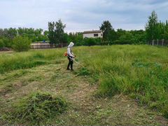 Заказать планировку участка дачного дома в г.Волгоград от 1556 руб. за сотку