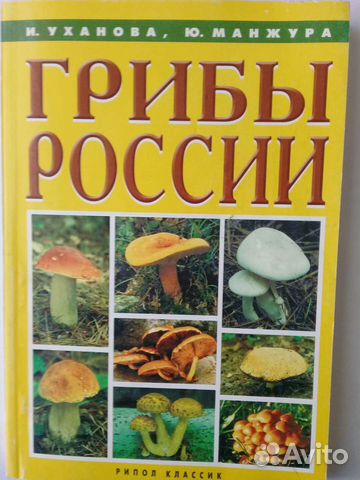Книга-Грибы России.-Справочник