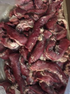 Мясные субпродукты для животных и людей Опт