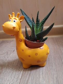 Кашпо керамика новые