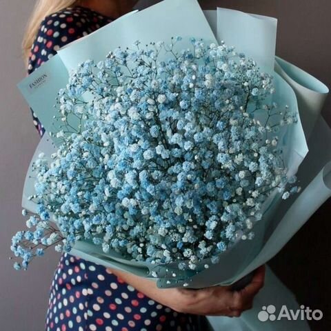 Букет из цветной Гипсофилы 5шт