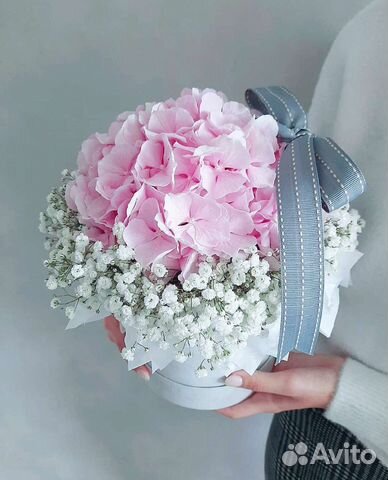 Букет в коробке гипсофила и гортензия Доставка