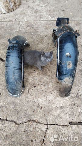 Крылья днепр