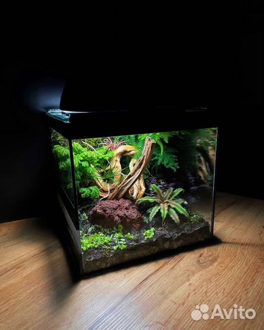 Флорариум террариум палюдариум