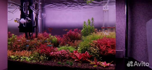 Аквариум в комплекте