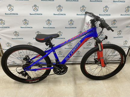 Велосипед подростковый Tech Team Storm 24