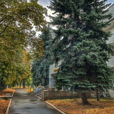 Комната 18 м², 3/4 эт.