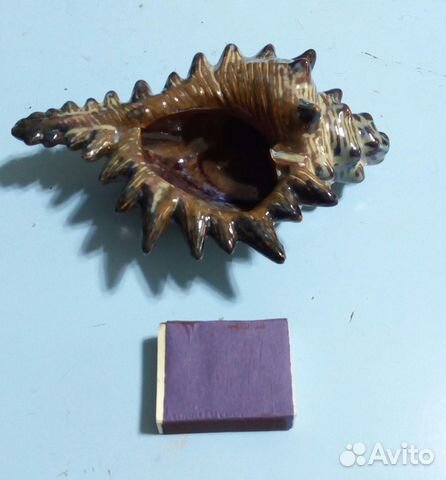 Раковина с тихого океана. Интерьер. Красота