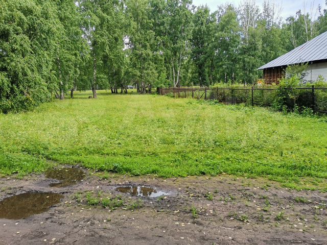Авито заринск. Новозыряново алтайский край. Земельный участок заринск. Земельный участок заринск. Авито заринск.