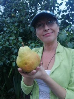 Супер груша саженцы и черенки для прививки