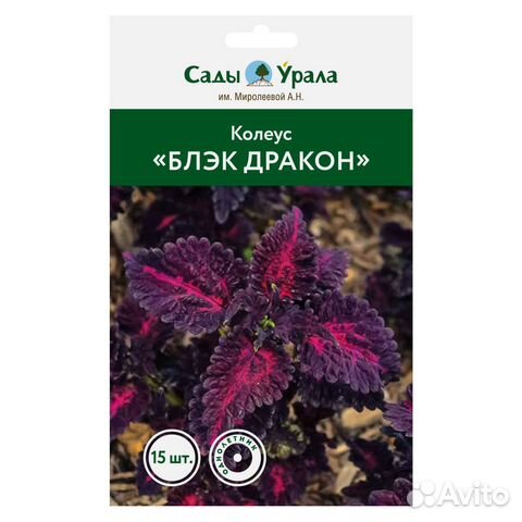 Колеус «Блэк Дракон» - семена питомника Сады Урала