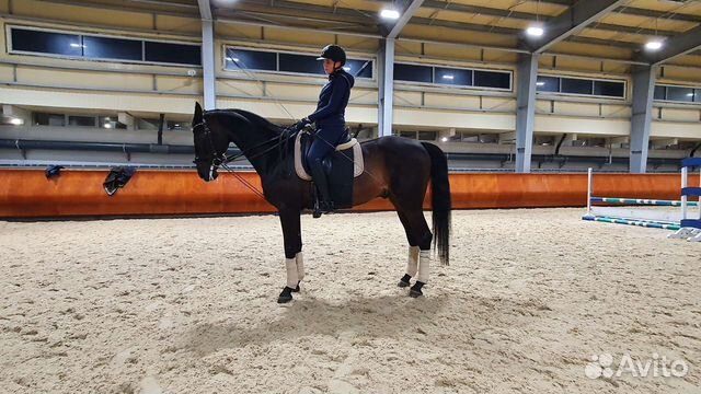 Обучение верховой езде, выездка