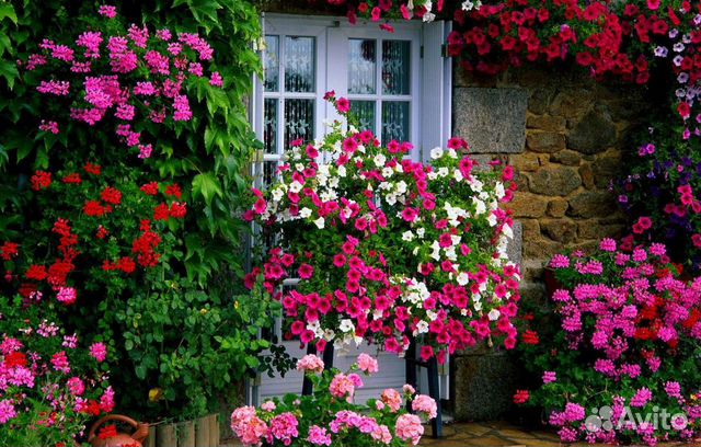 Ремонт окон регулировка устранение продувания