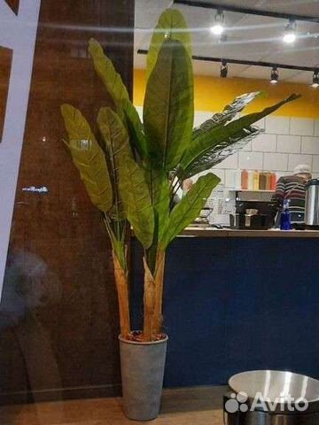 Искусственные цветы стрелиция бананова пальма IKEA