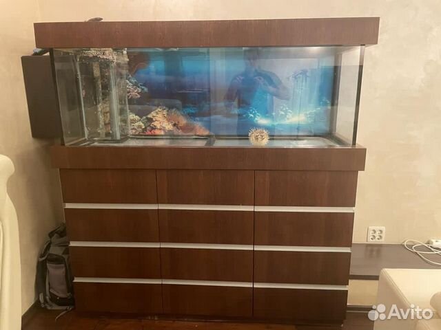 Аквариум