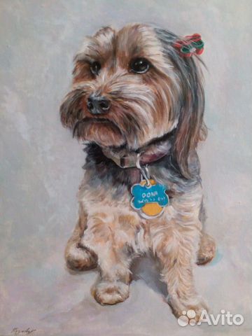 Портрет собаки, кошки, лошади, питомца на заказ. К