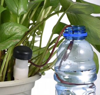 Капельный полив