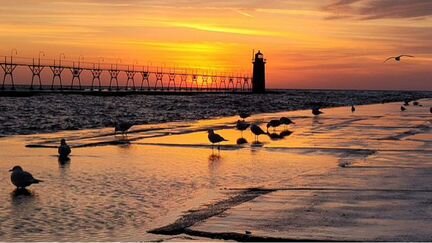 Авторские фотографии Galina Villano USA 2020 год