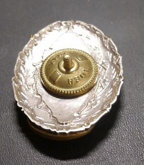 Центральное казачье войско