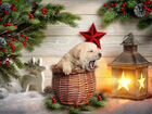 Радость к праздникам-щенок лабрадора объявление продам