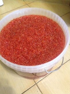 Икра красная. Горбуша. Опт. 11 кг. Цена за 1 кг