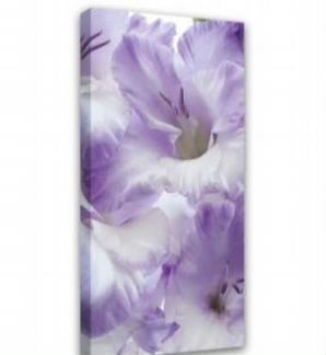 Картины на подрамнике 50*150