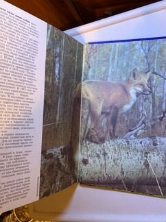 Книга «Мир животных» (энциклопедия животных)