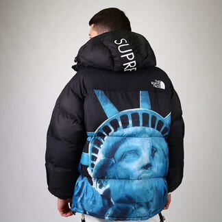 Куртка The North Face статуя чёрная