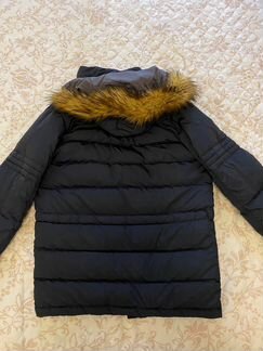 Мужская зимняя куртка Lacoste