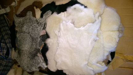 Шкуры овчина