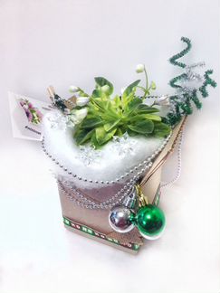 Цветущие подарки в дизайнерской упаковке