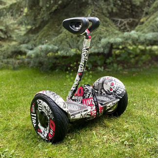 Сигвей Minirobot