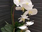 Реалистичная имитация живой орхидеи объявление продам