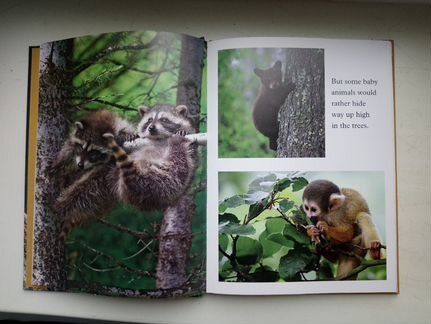 Книга на анг. языке 