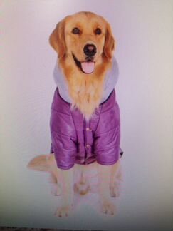 Куртка для средней собаки