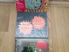 Ozric tentacles CD+DVD