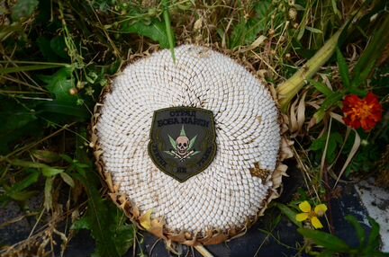 Патч Отряд Боба Марли, убитых не убьешь