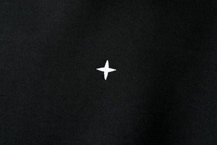 Худи stone island