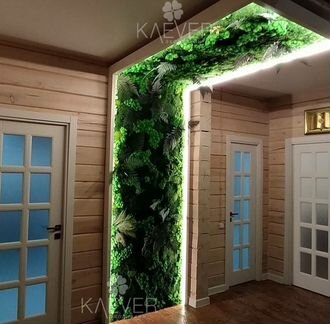 Фитостены из стабилизированного мха