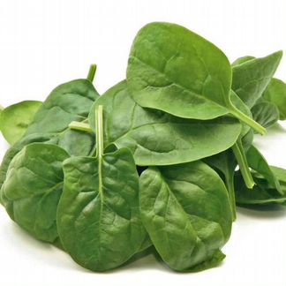 Гудвин семена шпината (Гавриш)