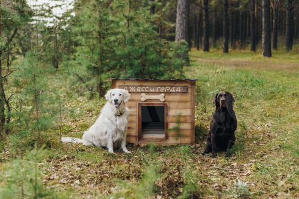 Будка для собаки утепленная
