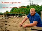 Доля в овечьей ферме на 500 голов в Краснодаре объявление продам