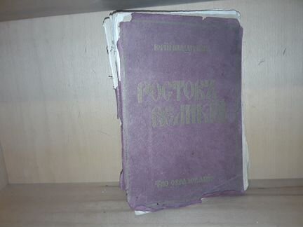 Шамурин Юрий. Ростов Великий. 1913 г