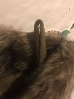 Валенок Санты новый Wondershop большой