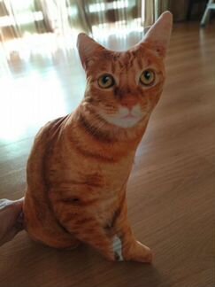 Подушки-котики