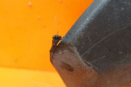 Юбка бампера задняя Hyundai Solaris 1 2014-2017